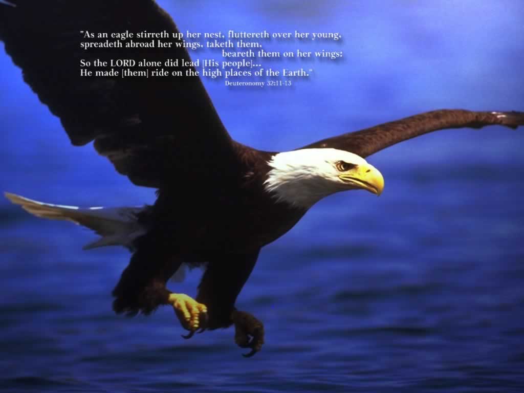 1138995961_1024x768_christian-wallpaper-on-his-wings.jpg